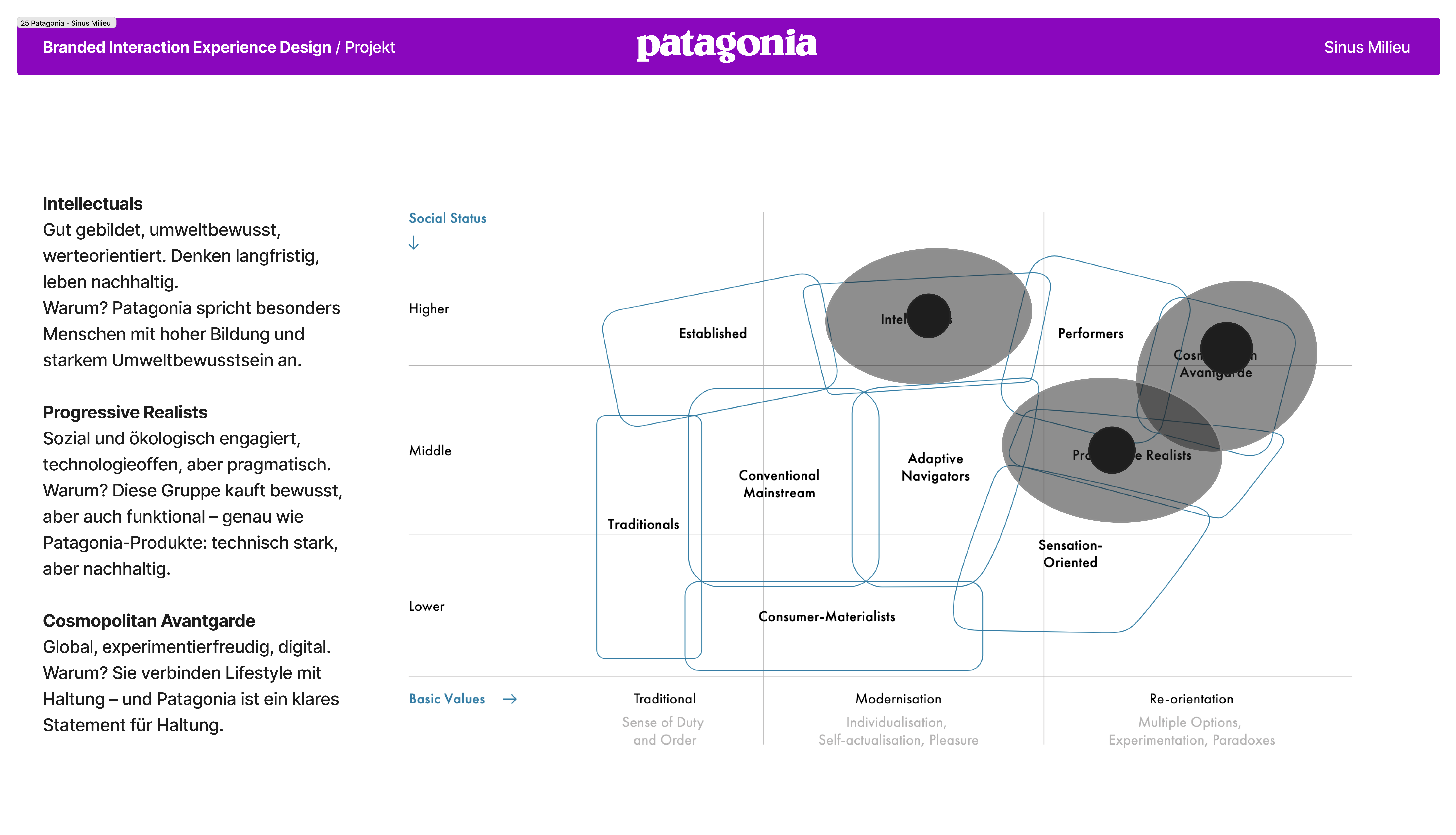 Sinus Milieu map with Patagonia's three target segments highlighted